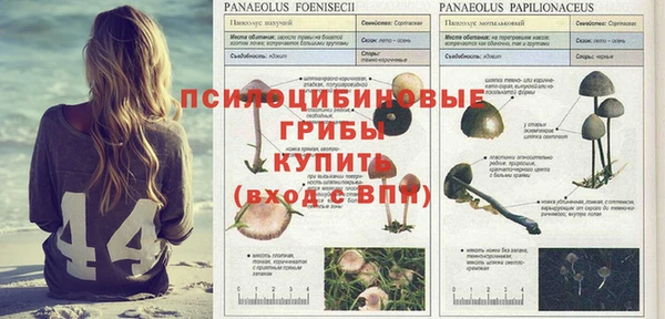 экстази Магас