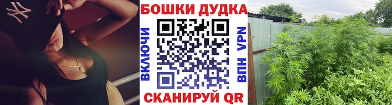 Конопля Bruce Banner  Купить  Енисейск 